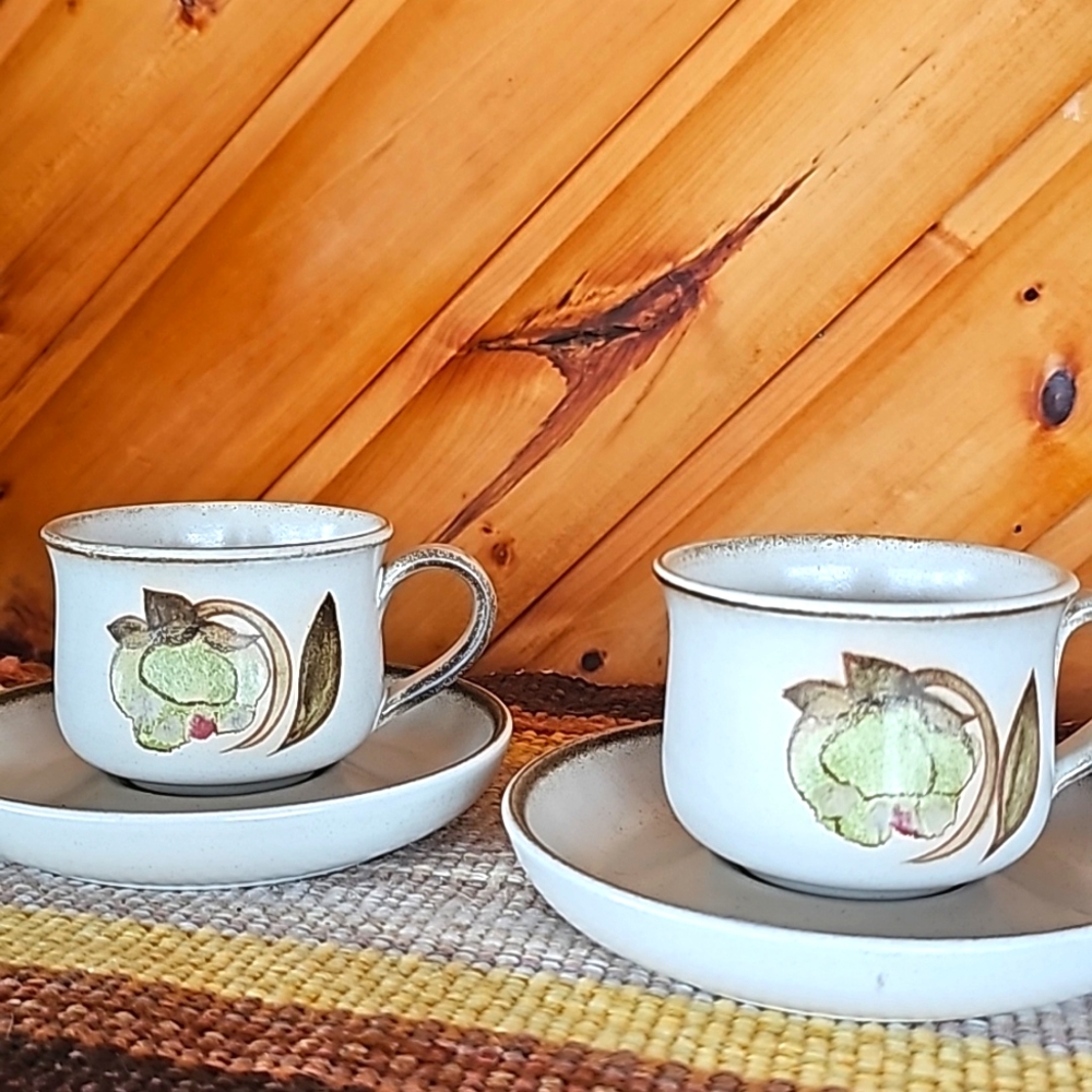 Set of 2 Denby Troubadour Cup and Saucer